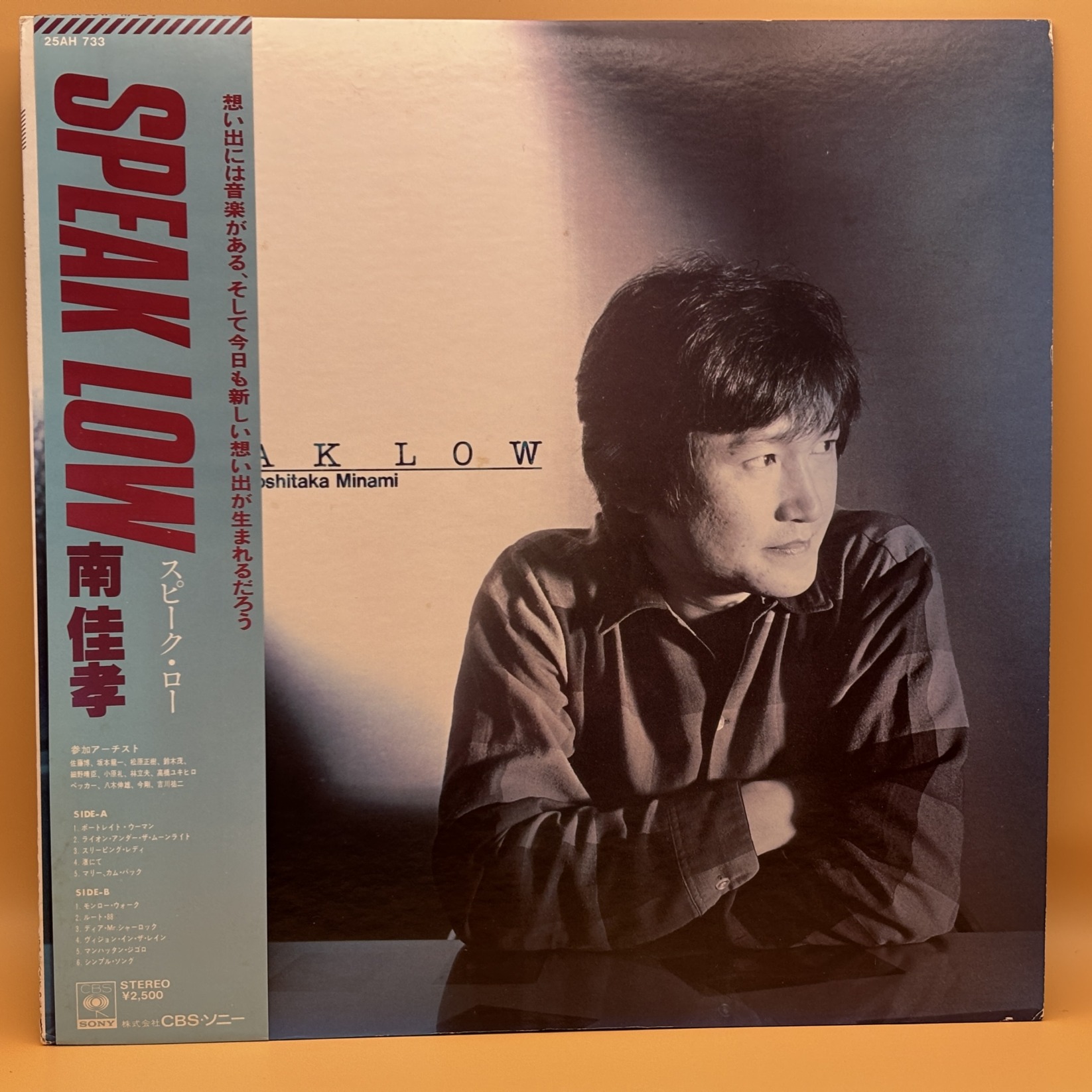 Speak Low（南佳孝）の中古レコード