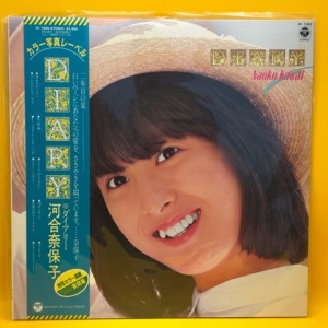DIARY（河合奈保子）の中古レコード | ネオンライトレコード