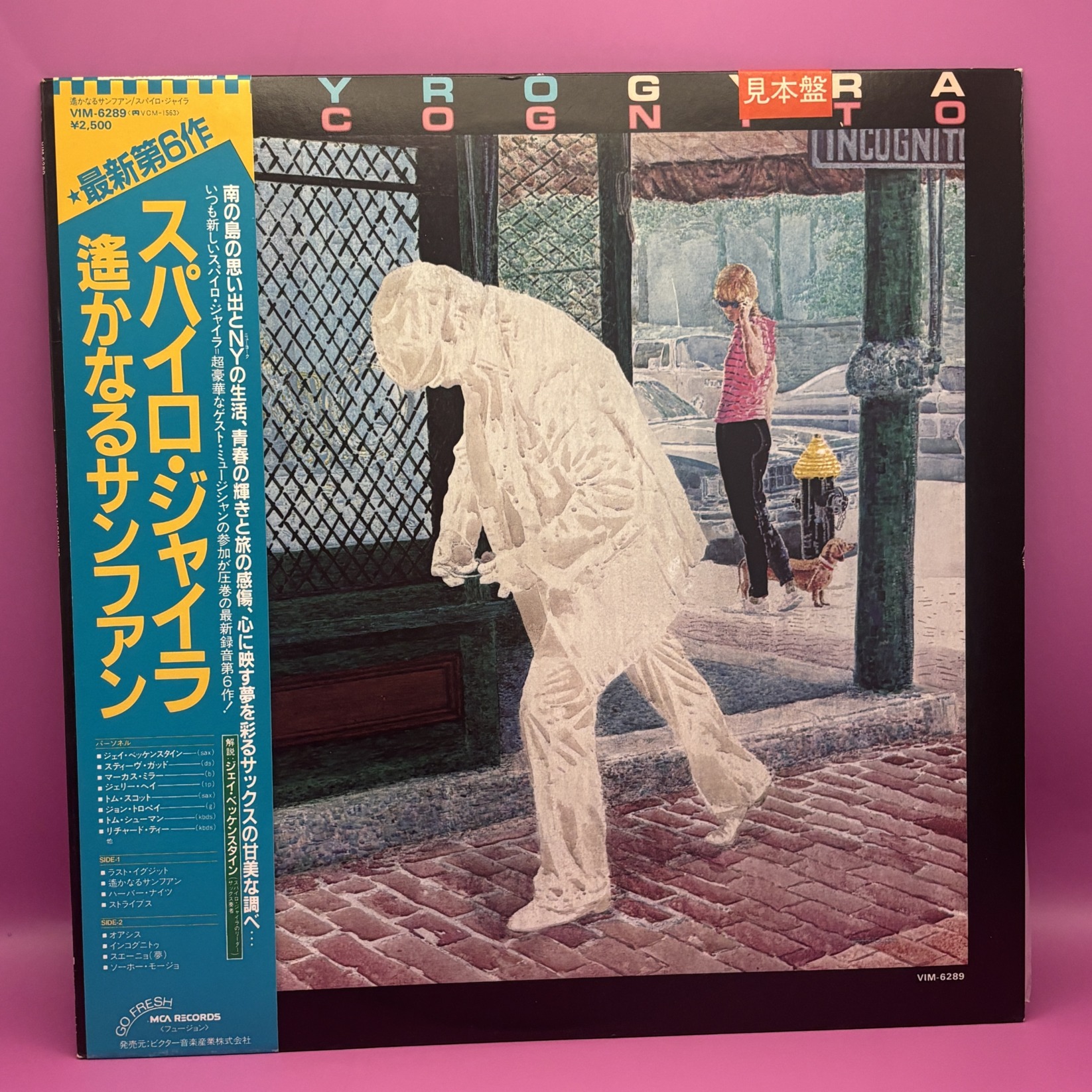 遥かなるサンファン（スパイロ・ジャイラ）の中古レコード