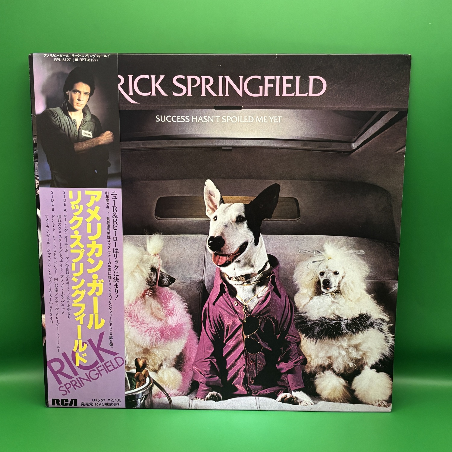 アメリカン・ガール（リック・スプリングフィールド）の中古レコード