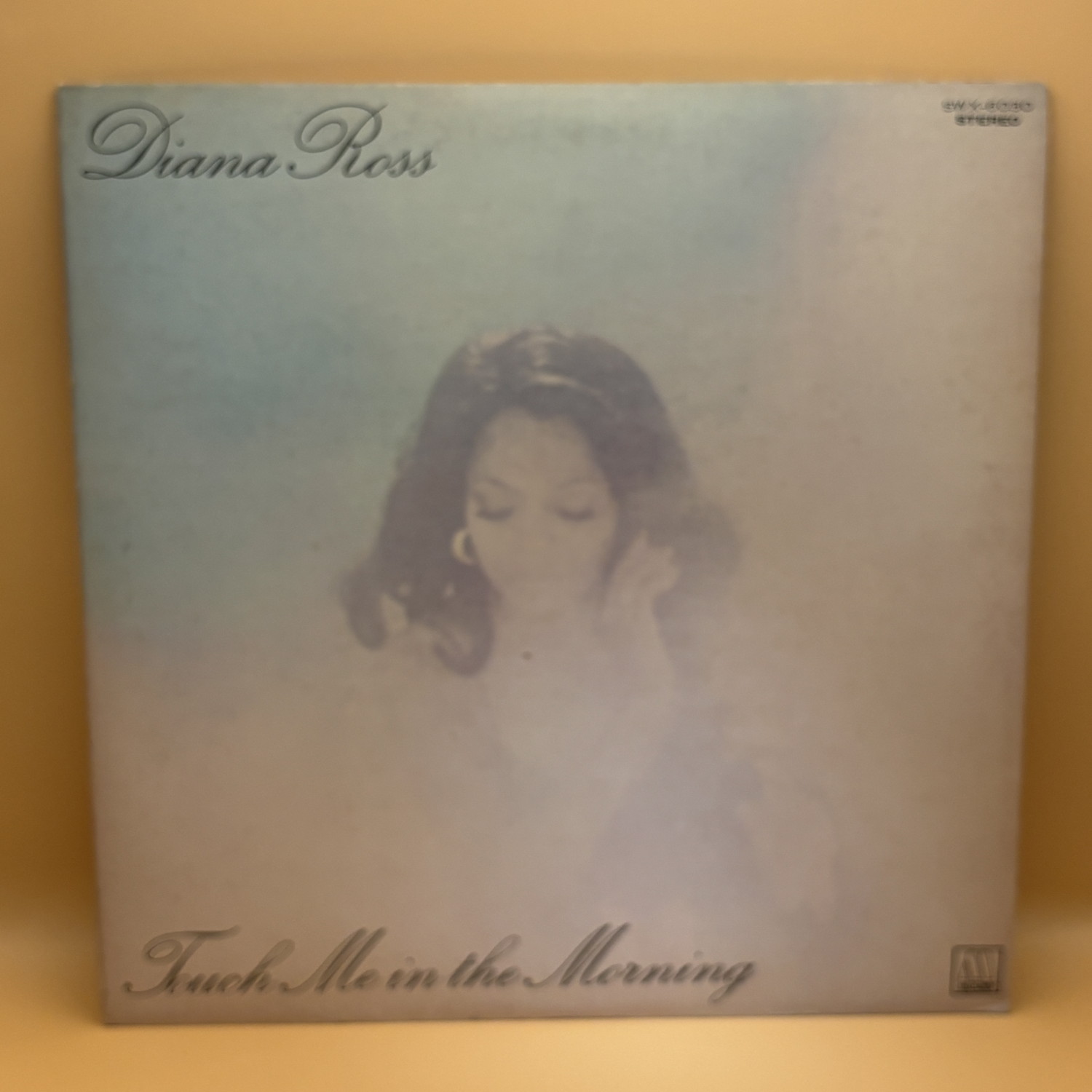 タッチ・ミー・イン・ザ・モーニング（ダイアナ・ロス）の中古レコード