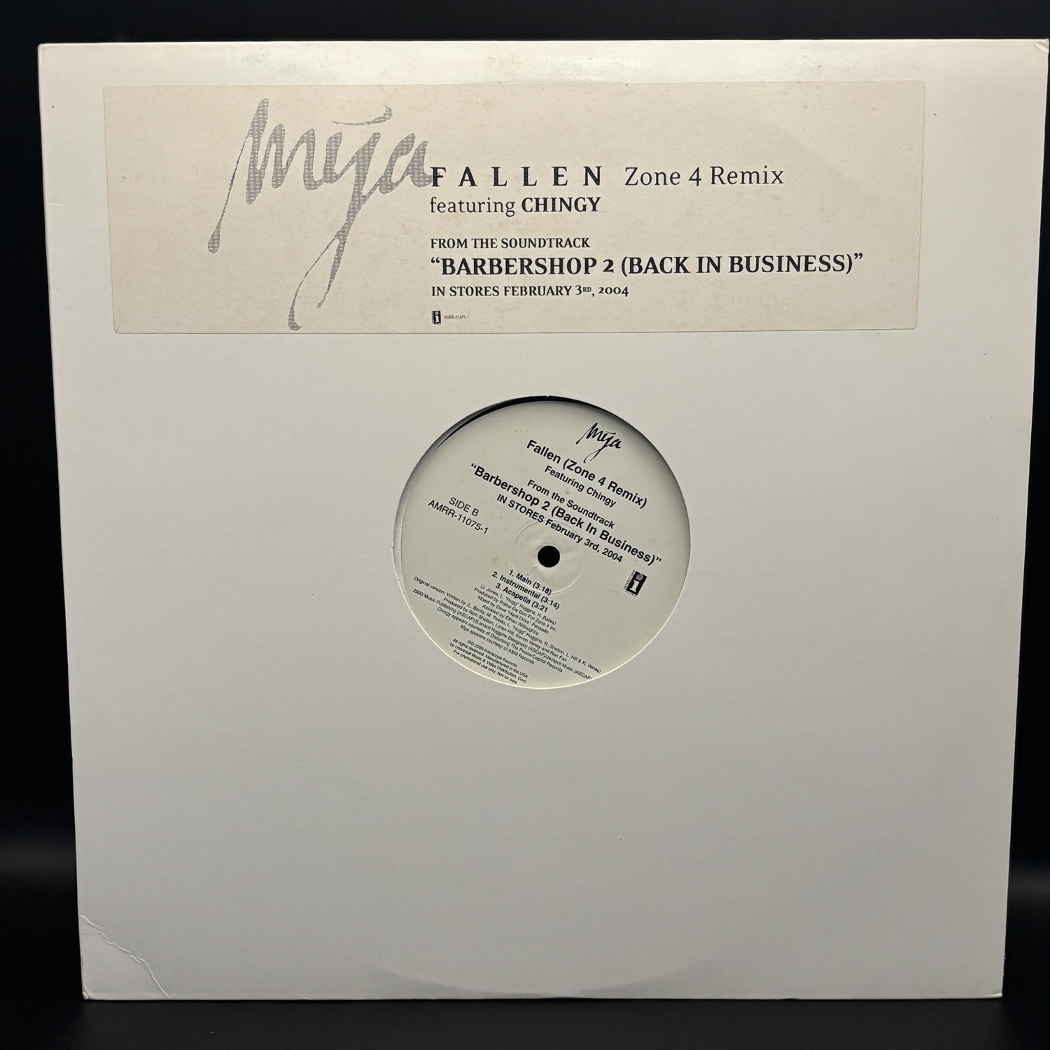 Fallen (Zone 4 Remix) feat. Chingy (マイア)の中古レコード