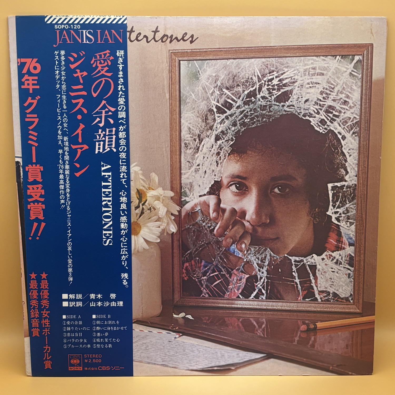 愛の余韻（ジャニス・イアン）の中古レコード